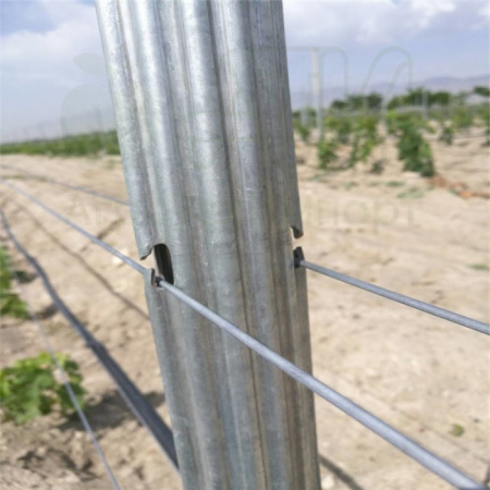 Столбы шпалерные оцинкованные